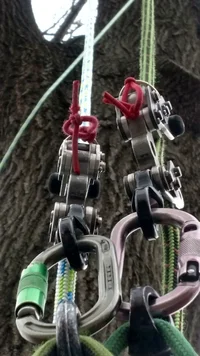 IMG_20170330_183604934_HDR.webp IMG_20170330_183604934_HDR.webp