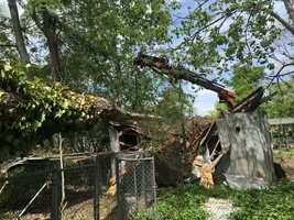 2017-04-10 12.59.52.webp