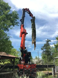 2017-04-10 13.38.50-1.webp