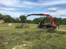 2017-04-10 17.19.19.webp