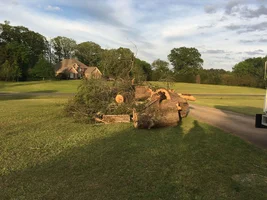 2017-04-10 18.32.10.webp