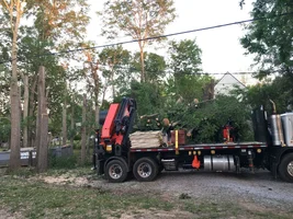 2017-04-19 19.16.14.webp