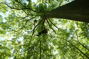 Indian Head Descend reduced_Bryan Watts.webp