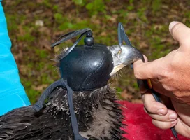 Bill Measurement reduced_Bryan Watts.webp