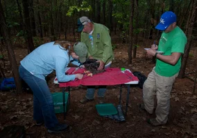 Bullet Neck measuring reduced_Bryan Watts.webp