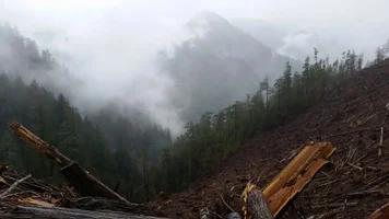 2017-05-30 08.40.03.webp