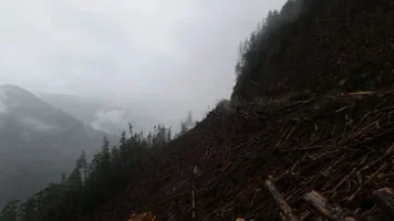 2017-05-30 08.40.38.webp