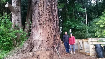 2017-05-30 11.12.42.webp