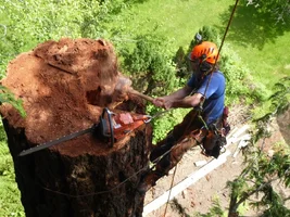 P1000070 (1024x768).webp