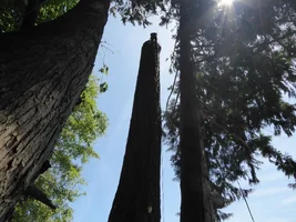 P1000049 (1024x768).webp