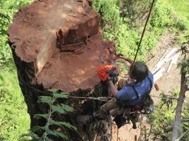 P1000091 (1024x768).webp