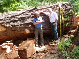 P1000421 (1024x768).webp