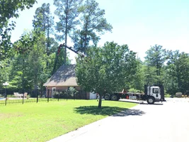 2017-06-08 07.15.07.webp