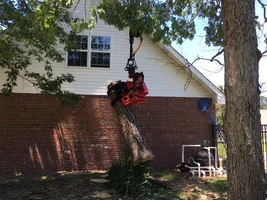 2017-06-08 07.15.06-1.webp