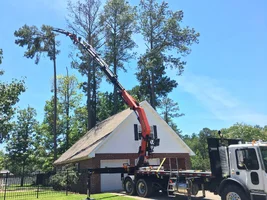 2017-06-08 07.15.05 HDR.webp