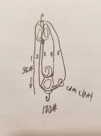 20170609_084631.webp 20170609_084631.webp