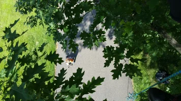 2017-06-09 18.13.03.webp