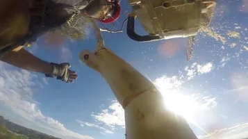 sling and fling thumbnail.webp