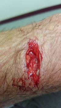 image.webp image.webp