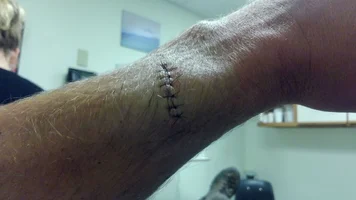 image.webp image.webp