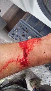 image.webp image.webp