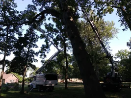 20170715_181814.webp 20170715_181814.webp