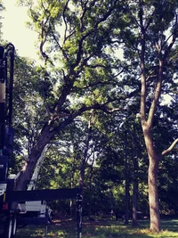 20170715_164316_Film1.webp 20170715_164316_Film1.webp