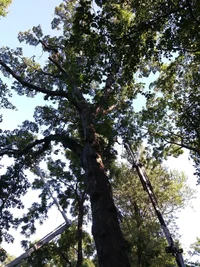 20170715_181806.webp 20170715_181806.webp