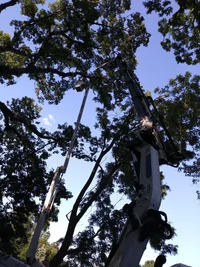 20170715_185921.webp 20170715_185921.webp