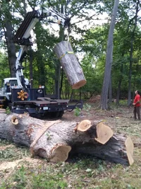 20170717_173133.webp 20170717_173133.webp