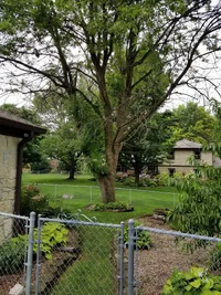 July 2017 close.webp