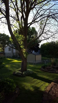 June 2016 close.webp