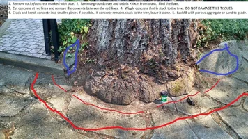 Dougfir concrete conflict 170808 paint.webp Dougfir concrete conflict 170808 paint.webp