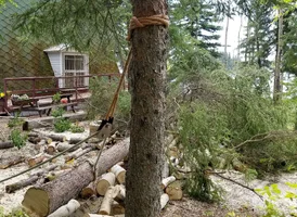 20170809_123750.webp 20170809_123750.webp