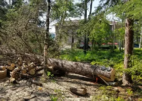 20170810_212203.webp 20170810_212203.webp