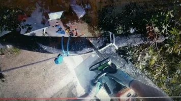 rigging msitake from youtube.webp