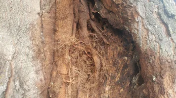 20170810_105834.webp 20170810_105834.webp