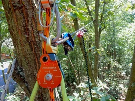 Captain Hook Setup.webp