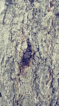 20170901_082455.webp 20170901_082455.webp