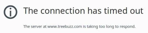 treebuzz-timeout.webp