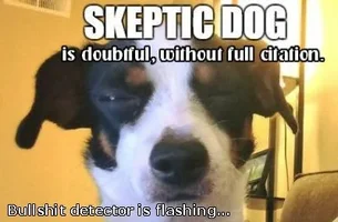 skepticdog.webp
