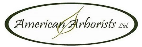 American Logo 2.0.webp