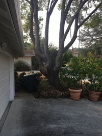 IMG_7056.webp IMG_7056.webp