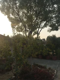 IMG_7061.webp IMG_7061.webp