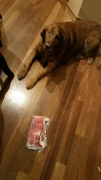 2017-10-23 17.31.18.webp