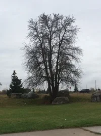 FullSizeRender (1).webp