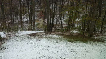 2017-10-27 10.02.21.webp