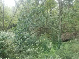 20170920_162416.webp 20170920_162416.webp