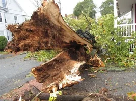 Portland Deering Center damage 30Oct17.webp