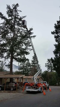 Easy Lift 70-36AJ Tree Care 21.webp
